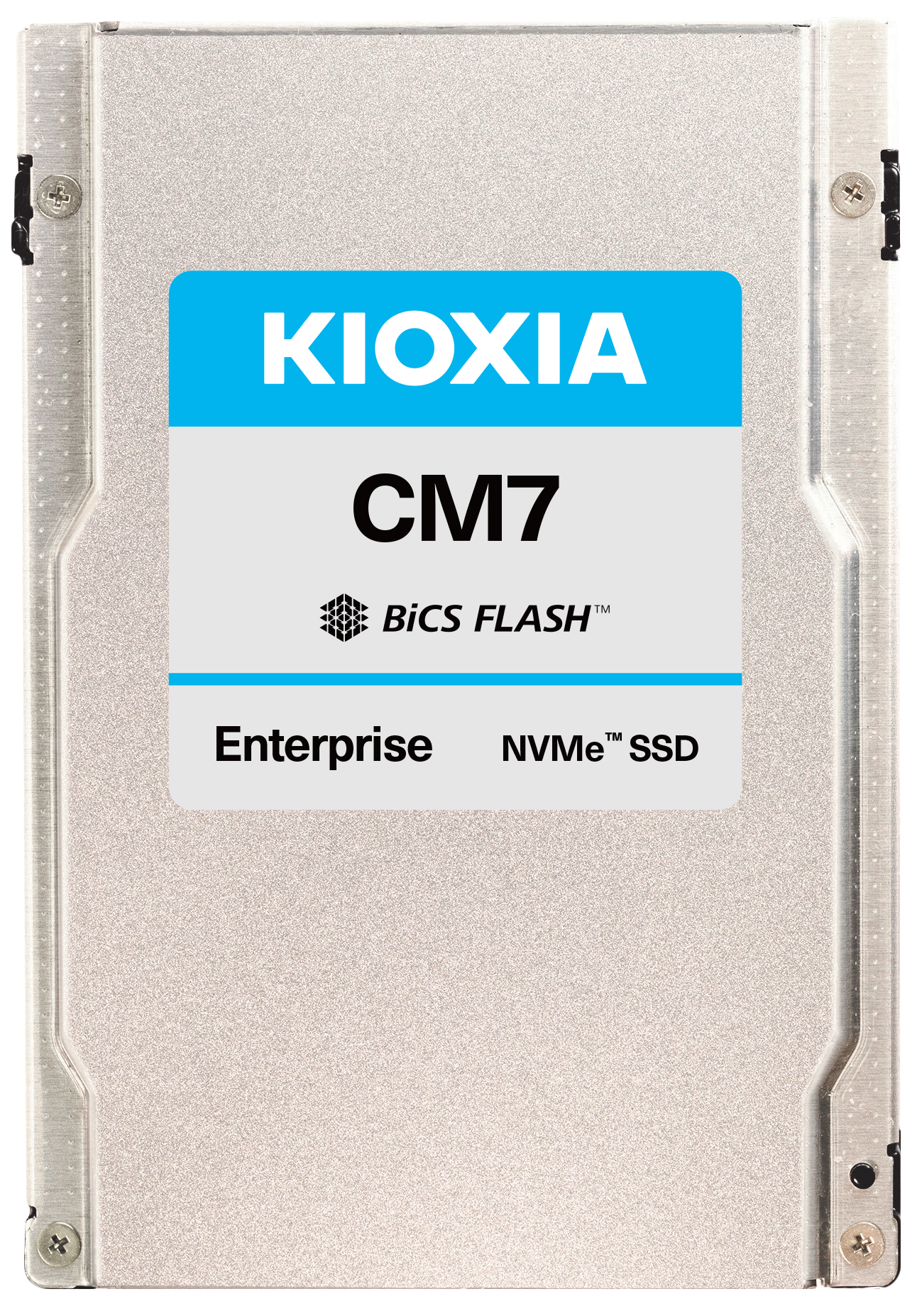 KIOXIA and Wasabi Collaborate to Deliver Fast, Intelligent